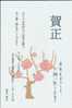 Japan 2003 New Year Of Sheep Prepaid Postcard - N - Chinees Nieuwjaar