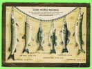 FISH - SOME WORLD RECORDS - CANADIAN RECORDS - CARD TRAVEL IN 1975 - - Fish & Shellfish