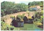 79)FL) ARGENTON CHATEAU, Le Pont Neuf, Artaud édit - Argenton Chateau