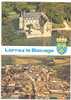 77 )FL) LORREZ LE BOCAGE, CPSM 150 X 105, CHATEAU ET VUE GENERALE - Lorrez Le Bocage Preaux