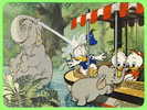 DISNEY WORLD - PLAYFUL PACHYDERMS - DONALD DUCK & NEPHEWS - JUNGLE CRUISE IN ADVENTURELAND - DIMENSION 13X17 Cm - - Disneyworld