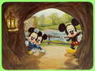 DISNEYWORLD - MICKEY MOUSE & HIS NEPHEWS - INJUN JOE´S CAVE ON TOM SAWYER ISLAND - DIMENSION 13X17 Cm - - Disneyworld