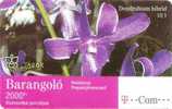 Hungary - Orchid - Dendrobium Hibrid - 13/1 - 2006/04 - 5000ex - Ungarn