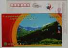 Crane Bird,deep Mountain Forest,China 2005 Forestry Department Of Jiangxi Province Advertising Pre-stamped Card - Kranichvögel