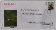 Sparrow Bird,China 2002 Linghai Garden Management Office Advertising Postal Stationery Envelope - Passeri