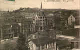 CPA  DE MONTBELIARD - VUE GENERALE - HOTEL DE LA GARE - Montbéliard