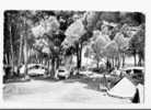 CPSM---83---Saint-Aygulf---- CAMPING-----LES CARAVANES - Saint-Aygulf