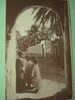 8845    ALGERIE  ARGELIA   TOLGA ENFANTS SOUS LE PORCHE   AÑOS / YEARS / ANNI  1920 - Kinder
