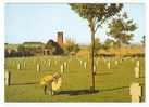 DEUTSCHER SOLDATENFRIEDHOF Recogne-BASTOGNE/BELGIEN Motiv 1 - Bastogne