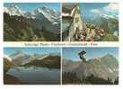 SUISSE-SCHWEIZ-SWITZERLAND.Schynige Platte -Faulhorn-Grindelwald-First - Grindelwald