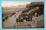 HIPPISME --  MARSEILLE - Les Tribunes Du Champ De Courses - Ippica