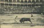 San Sebastian. Espagne. Plaza De Toros - Suerte De Banderillas. Tauromachie - Stieren