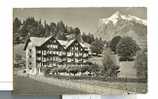 SUISSE   -    Hôtel Schweizerhof,  Grindelwald - Grindelwald