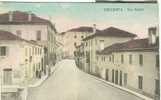 TRECENTA  (ROVIGO) VIA RIALTO - COLORI VIAGGIATA  1915 - ANIMATA. FORMATO 13,5X8,5. - Rovigo