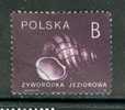 Poland, Yvert No 3078 - Used Stamps