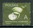 Poland, Yvert No 3079 - Used Stamps