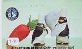 TC Japan Oiseau PENGUIN (407) Pinguin MANCHOT PINGOUIN Bird Vogel - Pinguïns & Vetganzen