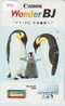 TC Japan Oiseau PENGUIN (431) Pinguin MANCHOT PINGOUIN Bird Vogel - Pinguins