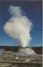 Yelowstone National Park - Castle Geyser - Yellowstone