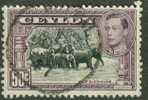 Ceylon Ceylan 1936, Yv. 247, éléphant Elephant - Eléphants