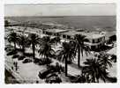 VIAREGGIO,  SPIAGGIA E VIALI, B/N, VG 1959, ANIMATA - Viareggio