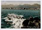 VIAREGGIO,  PANORAMA, VG 1956 - Viareggio