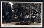 Real Photo Postcard Thorpeness Lakeside Suffolk - Ref 173 - Otros & Sin Clasificación