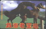 HORSE - JAPAN - H076 - Paarden