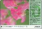 Japan Prepaidcard Blumen Flowers Fleurs Orchid - Landschaften