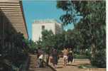 TORRE CANNE LE TERME ANIMATE VB1967 HD10257 - Brindisi