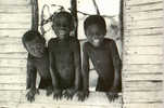 CARTE POSTALE DE SAINT-DOMINGUE - JEAN POPINCOURT POUR AMNESTY INTERNATIONAL - Andere & Zonder Classificatie