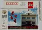 Rose Flower,China 2003 Anqing Public Security Bureau Certificate Making Station Advertising Pre-stamped Card - Roses