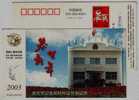 Rose Flower,China 2003 Anqing Public Security Bureau Certificate Making Station Advertising Pre-stamped Card - Rose