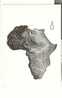 PLANTU  -  Afrique, 1982 : Un Continent Assoiffé Et étranglé  Format 15 X 10,5 Cm - Plantu