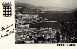 Monaco Monte Carlo Vu Du Jardin Exotique - Giardino Esotico