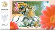 Manchurian Tiger , Rare Animal    , Pre- Stamped Card , Postal Stationery - Rinocerontes