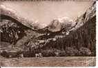 Cpsm Tarentaise. PRALOGNAN (Savoie), Le Massif De La Grande Casse - Pralognan-la-Vanoise