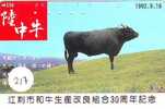 VACHE COW VACA KUH KOE MUCCA (217) - Cows