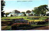 PCd--Botanic Gardens --GLASGOW--Glasgow--SCOTLAND - Lanarkshire / Glasgow