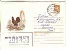 GOOD USSR Postal Cover 1983 - Capercaillie (used) - Gallináceos & Faisanes