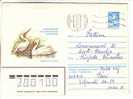 GOOD USSR Postal Cover 1983 - Pelicans - Pelikane