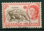 Cayman Islands '62, Yv. 166, Iguane -  Lizard Iguana - Leguane - Leguaan - Andere & Zonder Classificatie