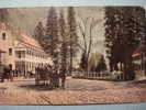 9828   UNITED STATES USA  YOSEMITE VALLEY SENTINL HOTEL   AÑOS / YEARS / ANNI   1910 - Yosemite