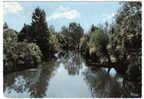 PONT DE VAUX - Les Bords De La Reyssouze - Pont-de-Vaux