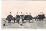 AFRIQUE -  SCENES ET TYPES  -  Caravane Dans Le Désert - Uomini