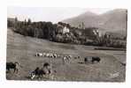 Embrun, Chateau De La Robeyre Et Le Roc - Embrun