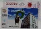 Red Crowned Crane Bird,China 2001 Shangyu Life Insurance Company Advertising Pre-stamped Card - Gru & Uccelli Trampolieri