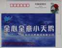 Whooper Swan Bird,China 2001 Jiangsu Little Swan Group Advertising Pre-stamped Card - Cygnes