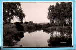 THOUROTTE -- Les Bords De L'Oise - 1950 - Thourotte