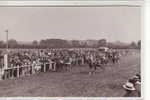 ROCHEFORT SUR LOIRE HIPPODROME DU MARAIS ARRIVEE PRES DES TRIBUNES - Sonstige & Ohne Zuordnung